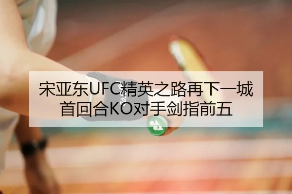 宋亚东UFC精英之路再下一城 首回合KO对手剑指前五