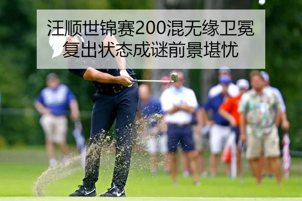 汪顺世锦赛200混无缘卫冕 复出状态成谜前景堪忧
