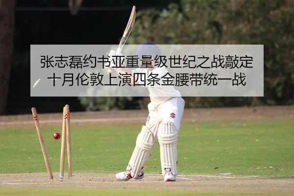 张志磊约书亚重量级世纪之战敲定 十月伦敦上演四条金腰带统一战